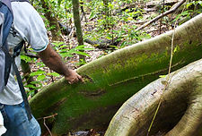 Biocultural Mapping