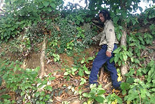 Survey and Monitoring 