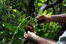 Seed Sovereignty